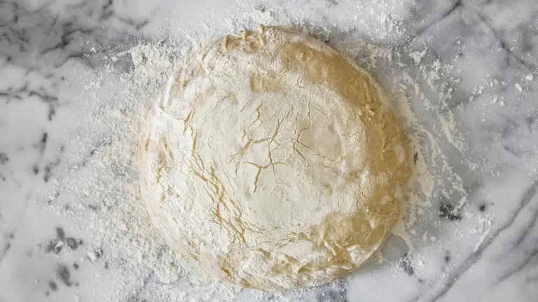 IMMAGINE DI UNA BIGA FERMENTATA 16 ORE