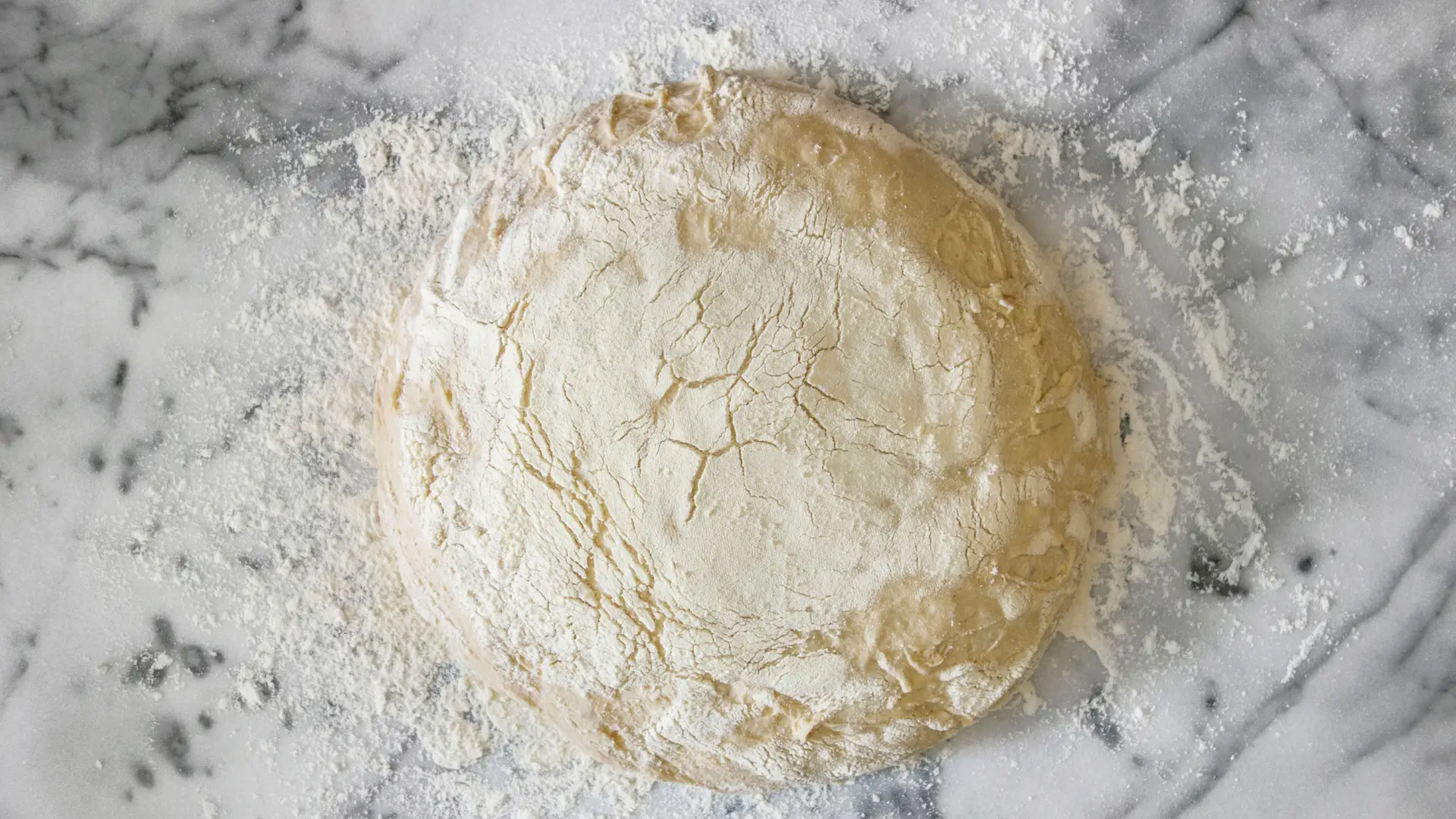 Immagine di una biga fermentata 16 ore