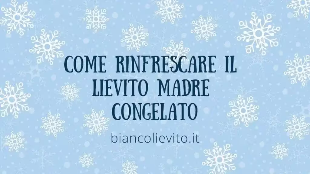 come rinfrescare il Lievito Madre Surgelato