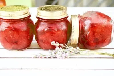 barattoli di Marmellata di Fragole senza Pectina