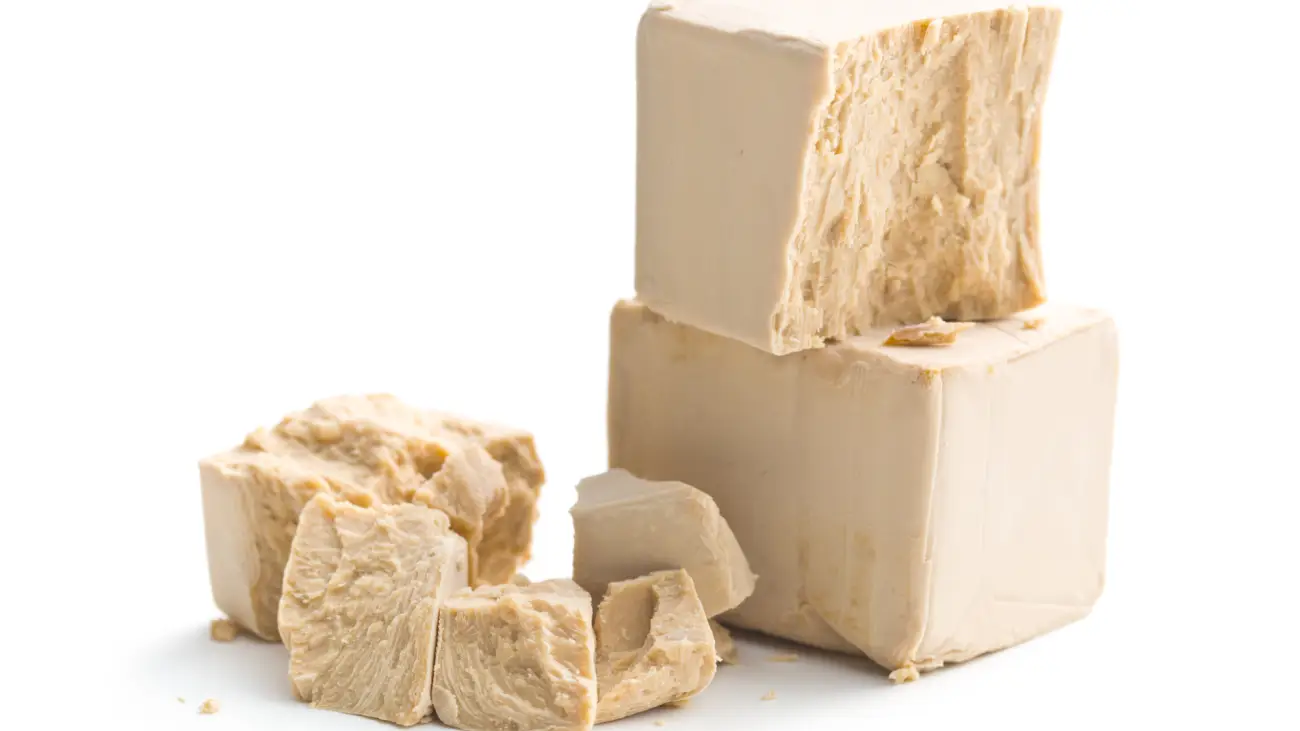 Quale Lievito Scegliere? Confronto Tra Lievito Madre, Lievito Di Birra, Licoli E Biga | Biancolievito Lievito di birra fresco in cubetti per pane e dolci a lievitazione rapida