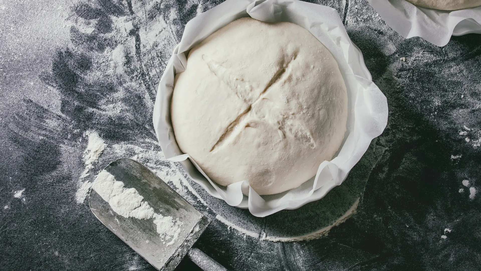 Lievito madre solido rinfrescato per panettone, pandoro e pane artigianale